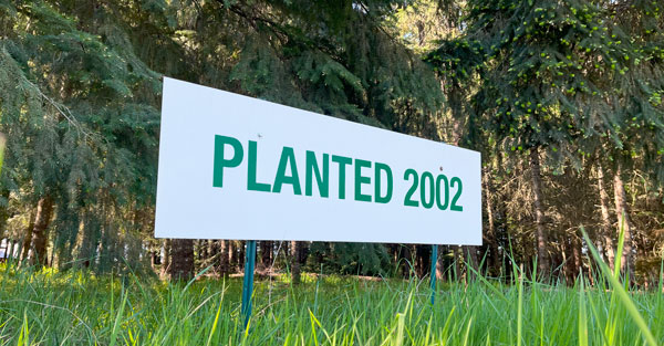 Planted sign 2002
