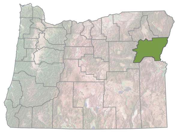 Assistance Map Image