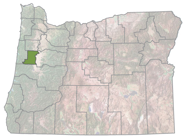 Assistance Map Image