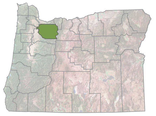 Assistance Map Image