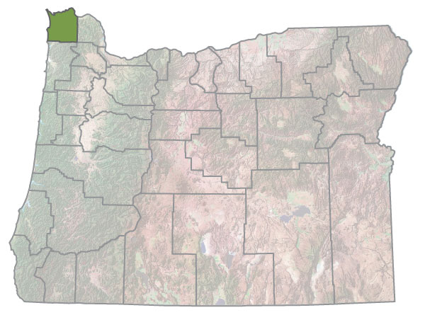 Assistance Map Image