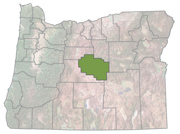 Assistance Map Image