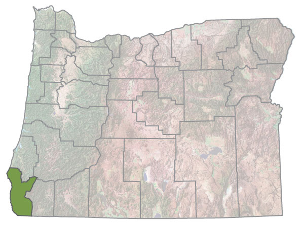 Assistance Map Image