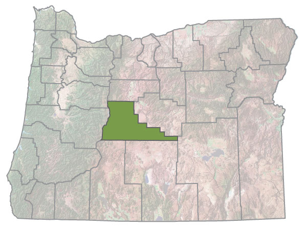 Assistance Map Image