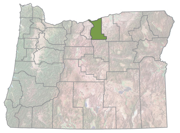 Assistance Map Image