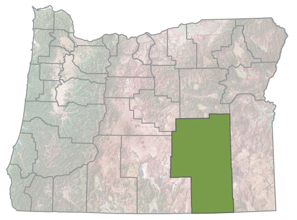 Assistance Map Image