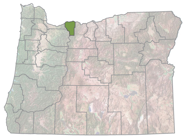 Assistance Map Image