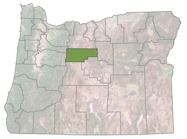 Assistance Map Image