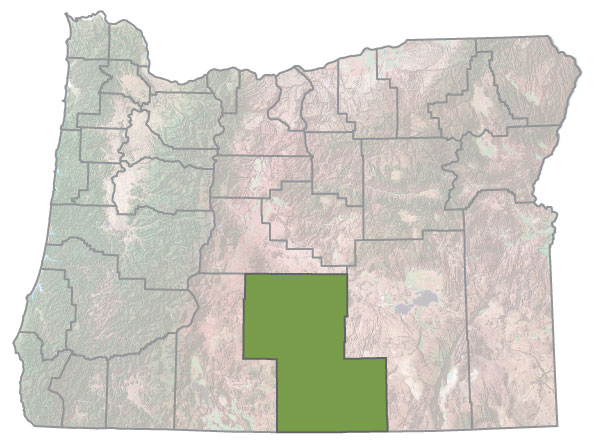 Assistance Map Image