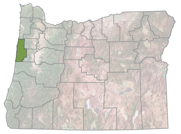 Assistance Map Image