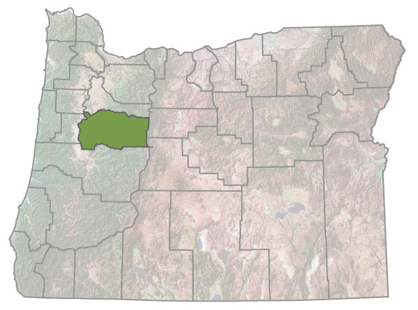 Assistance Map Image