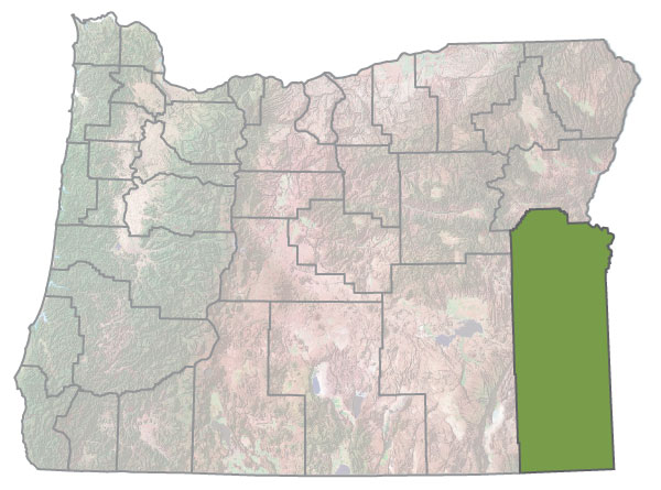 Assistance Map Image