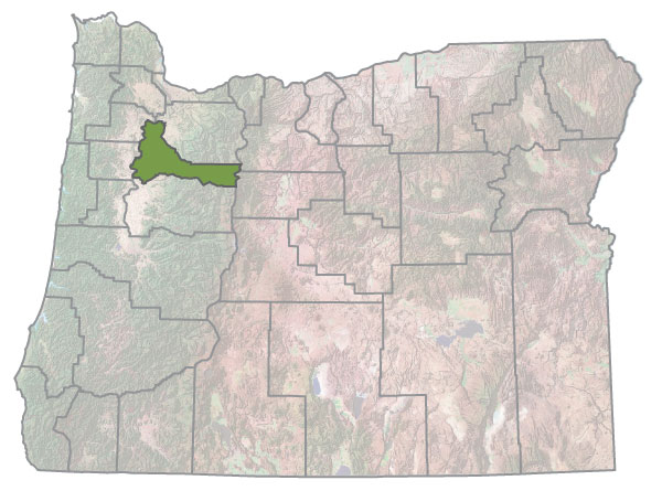 Assistance Map Image