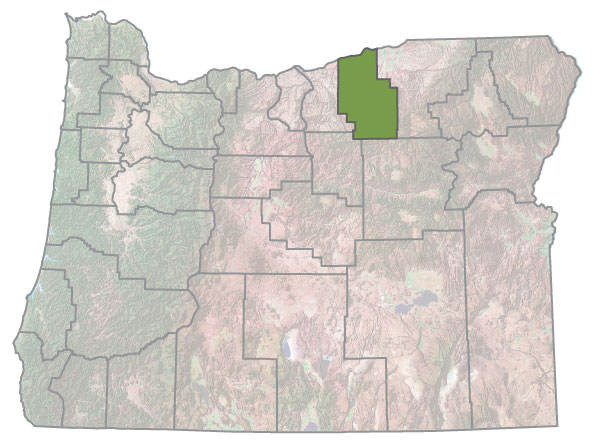 Assistance Map Image