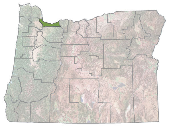 Assistance Map Image