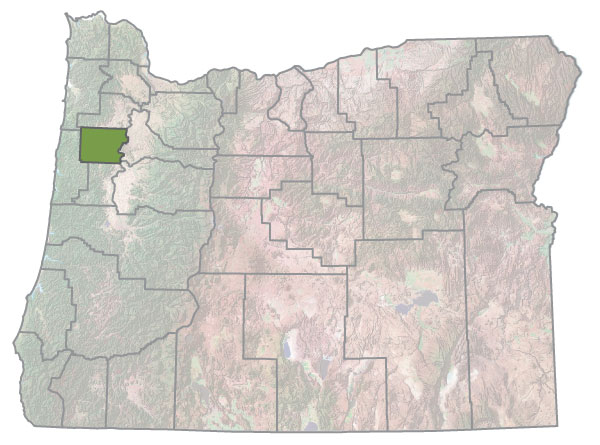 Assistance Map Image