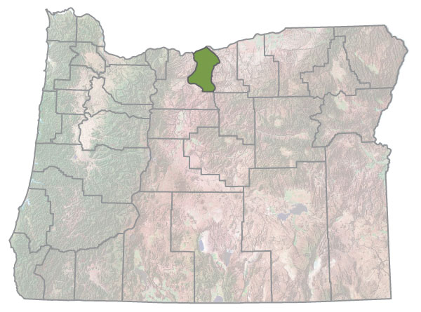 Assistance Map Image