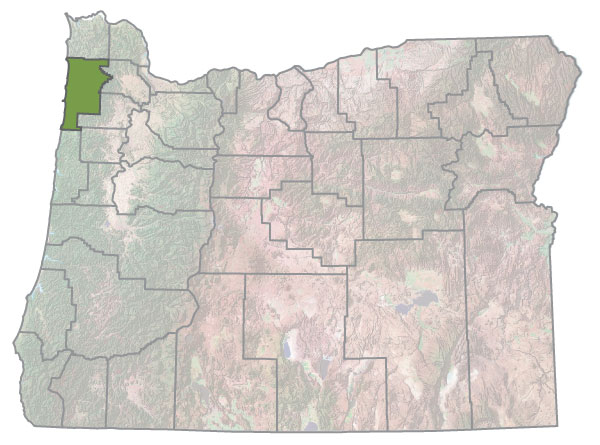 Assistance Map Image