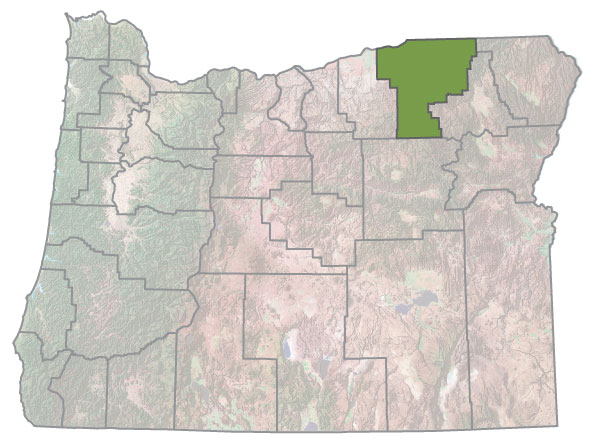 Assistance Map Image