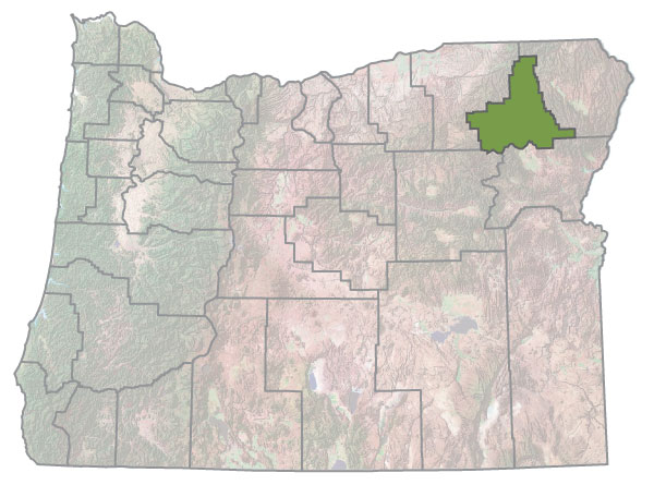 Assistance Map Image