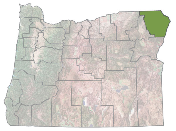 Assistance Map Image