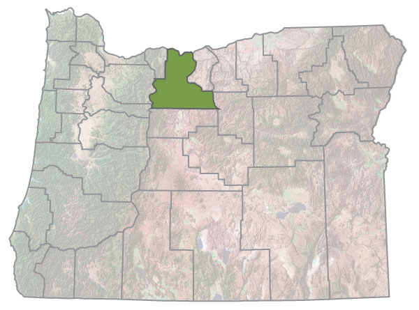 Assistance Map Image