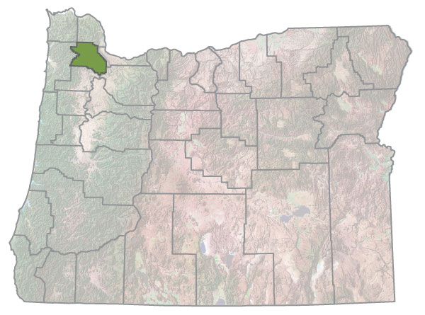 Assistance Map Image