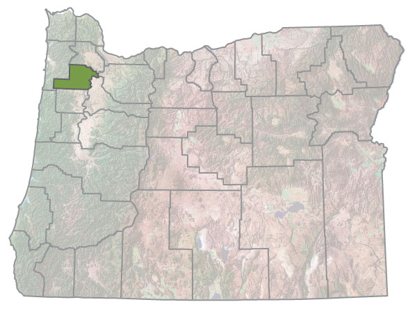 Assistance Map Image