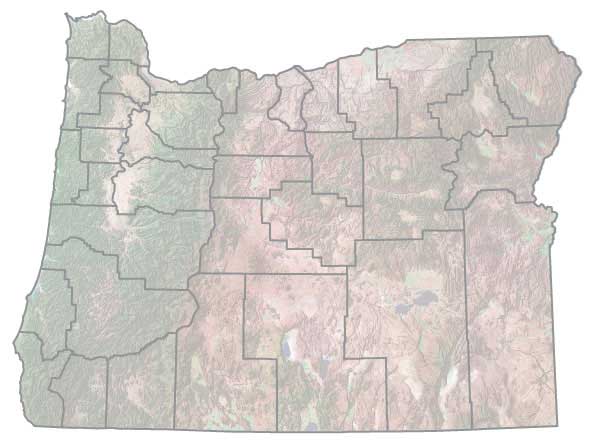 Assistance Map Image