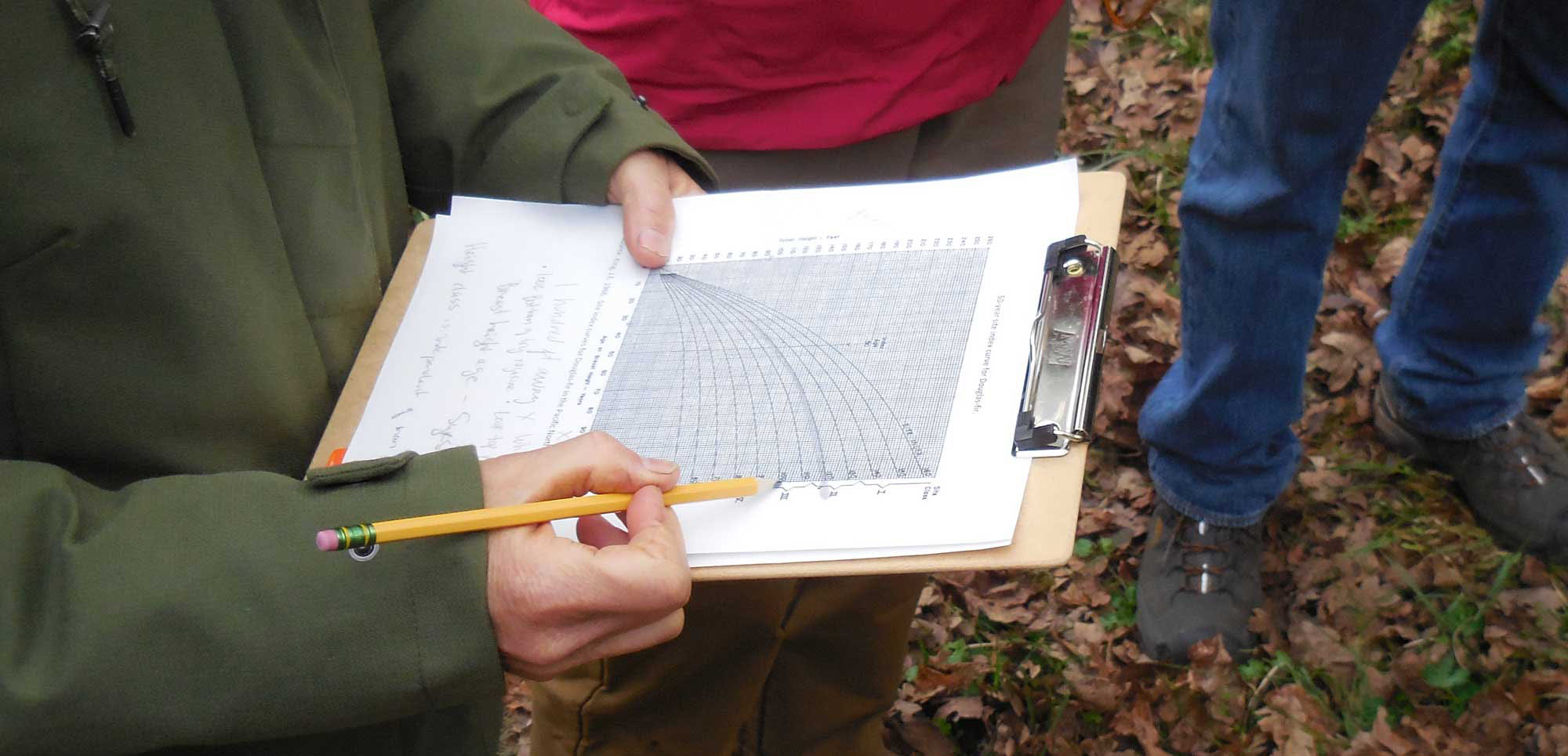 A person in a green jacket holds a clipboard displaying a forest growth chart and handwritten notes while pointing with a pencil.