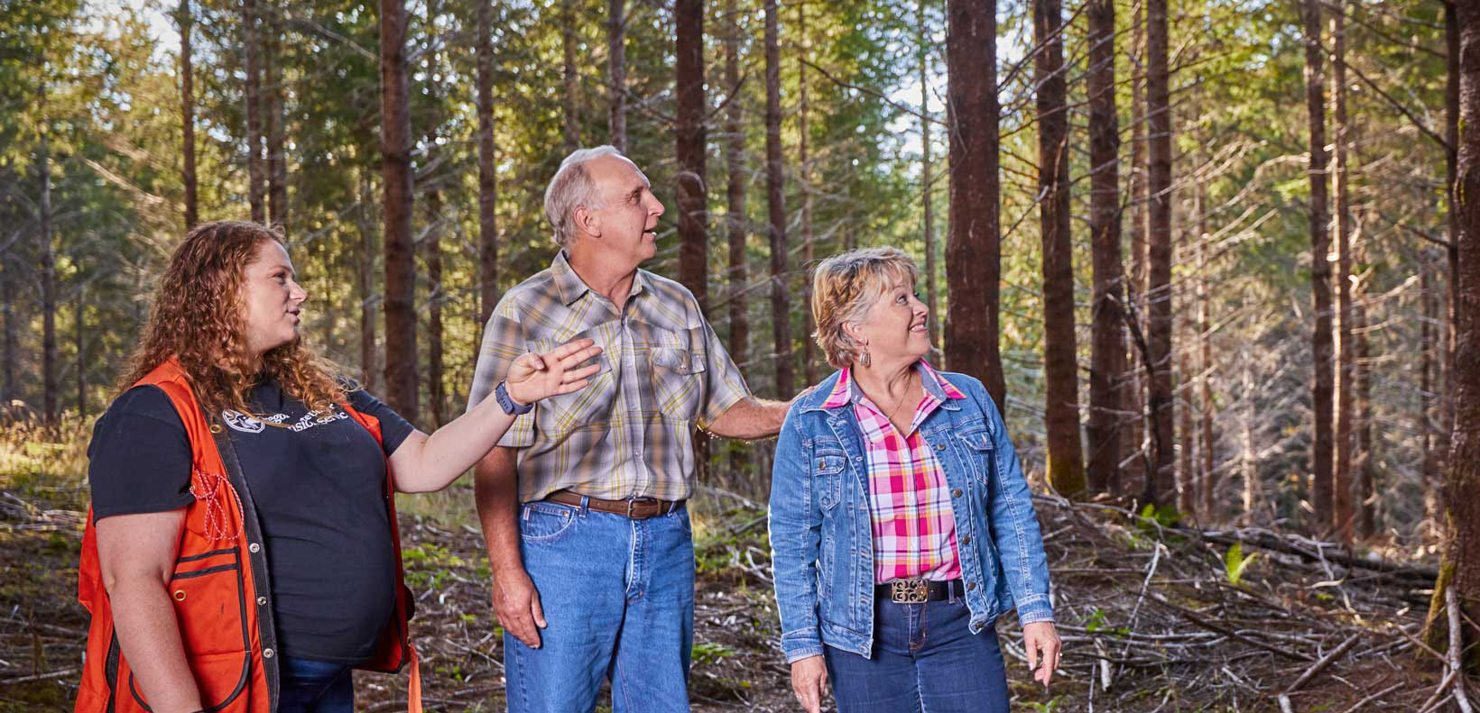 Three people stand in a sunlit forest, engaged in conversation and observing the trees.