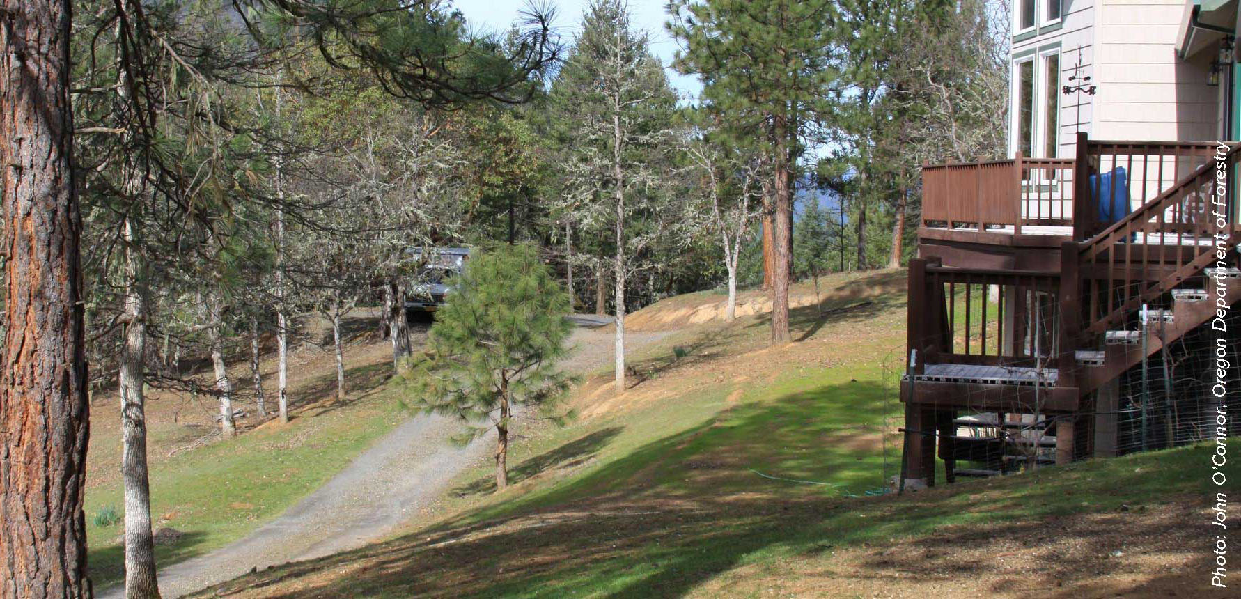 A house with a raised wooden deck is surrounded by a well-maintained, cleared area with sparse trees, illustrating fire-safe landscaping practices.