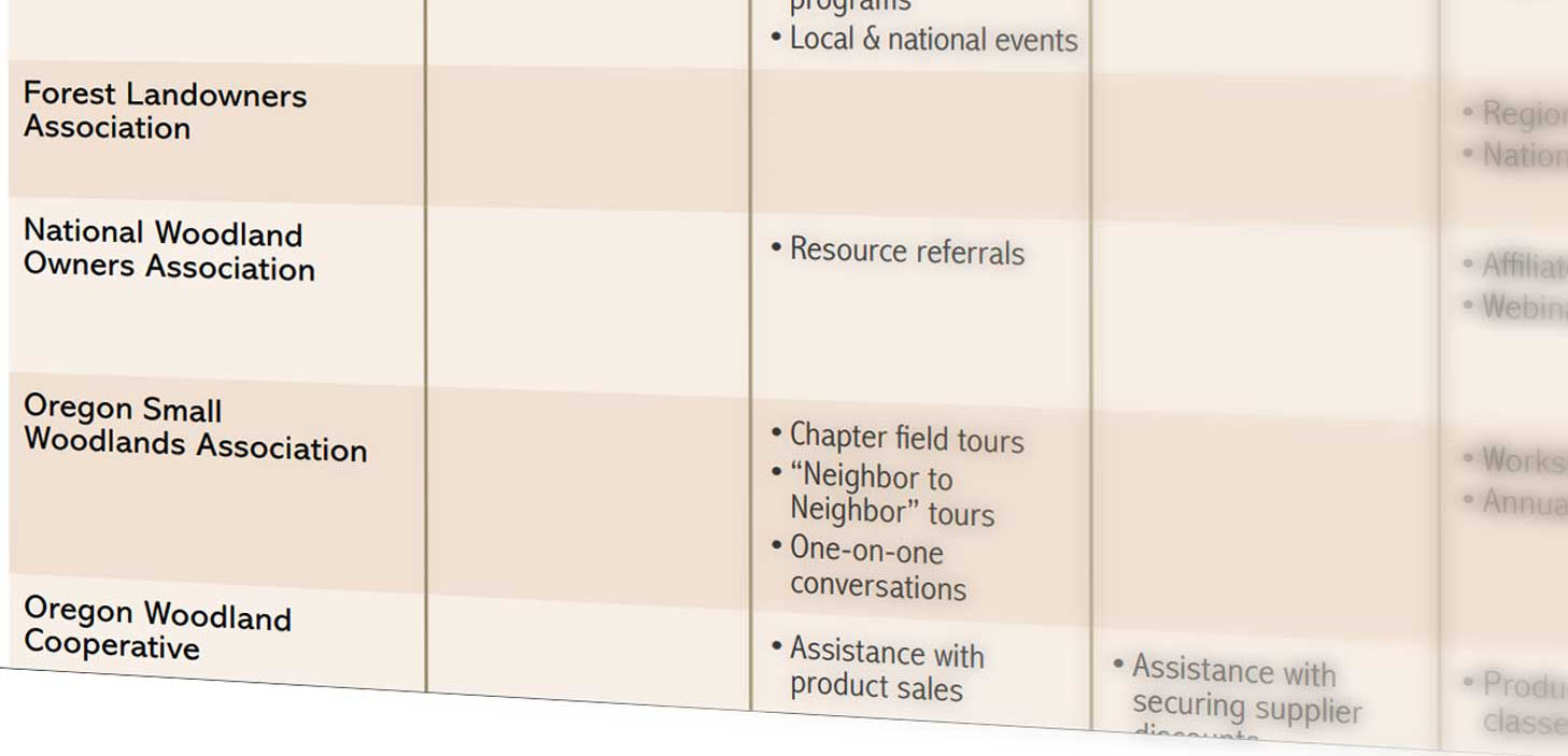 Partial view of a resource comparison table listing forestry organizations and their services, including field tours, resource referrals, and product sales assistance.