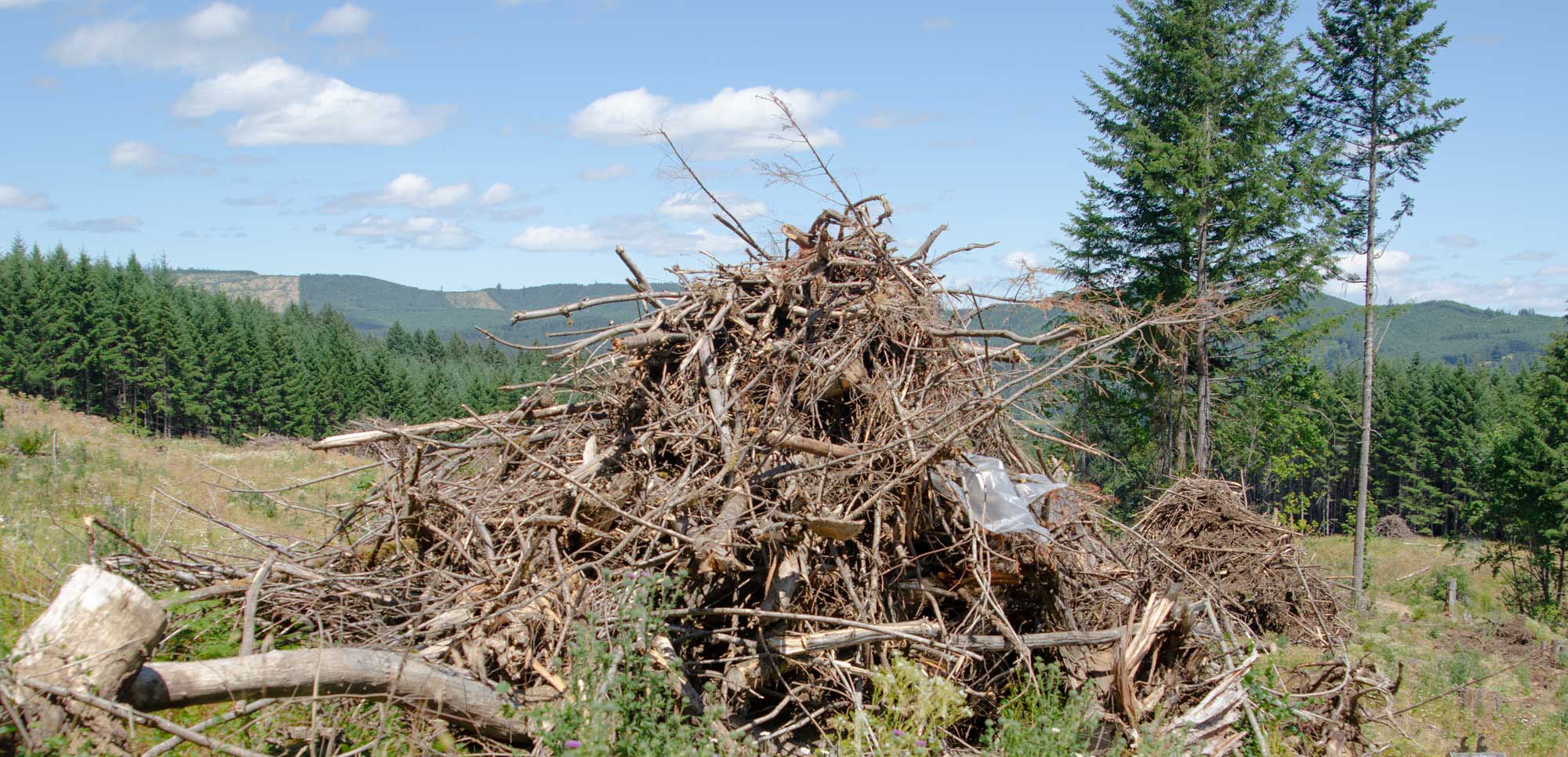 A large slash pile of tree limbs and debris sits on a hillside clearing surrounded by conifer forests and distant ridges under a blue sky.