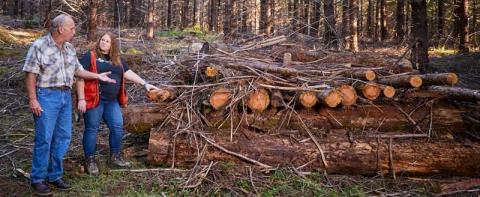Two people standing beside a large pile of logs and branches in a forest, discussing its role in habitat restoration.
