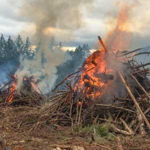 Large piles of tree branches and logs burn intensely in a forest clearing, producing thick smoke.