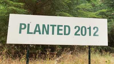 White sign with green text marking a tree planting site established in 2012.