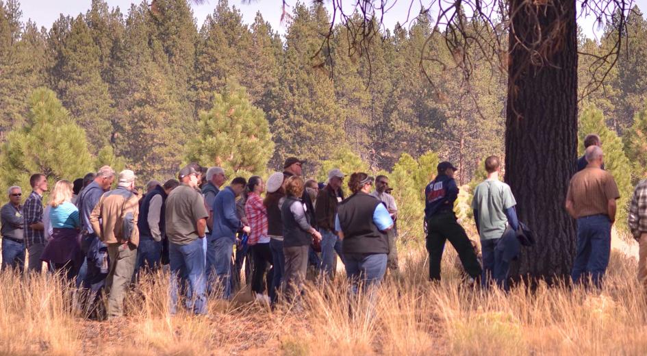 A large group of people gathers around a forester during an outdoor educational tour in a pine forest near Bend, Oregon.