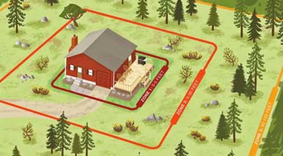 An illustrated diagram showing a red cabin surrounded by defensible space zones to reduce wildfire risk.