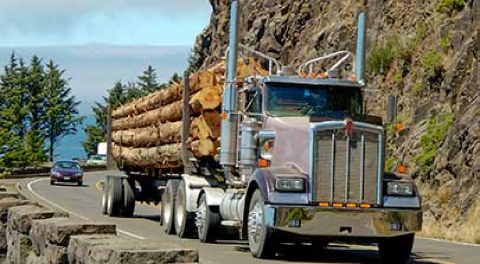 A logging truck hauling freshly cut logs drives along a winding road by a rocky cliff.
