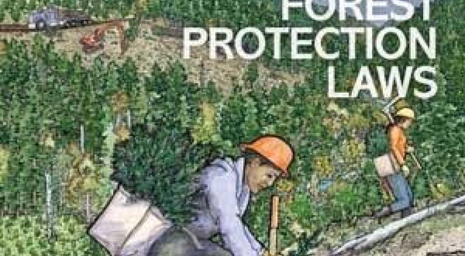 Oregon’s Forest Protection Laws: An Illustrated Manual