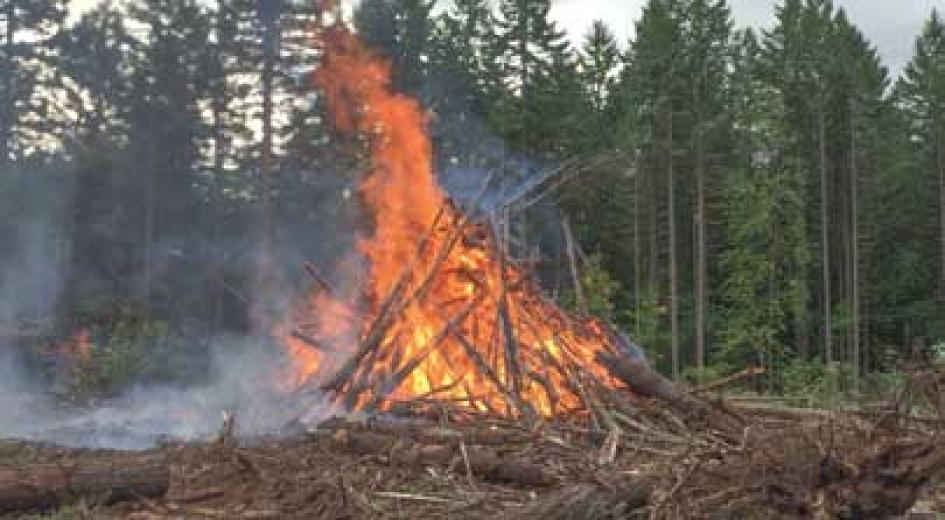 A controlled burn of stacked branches and logs in a forest clearing, sending flames and smoke into the air.
