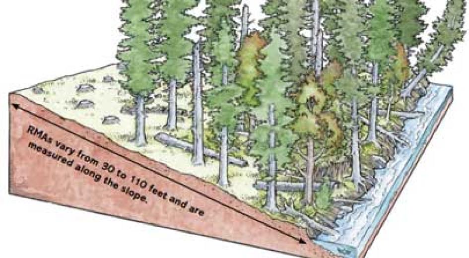 Card image showing riparian buffer zone